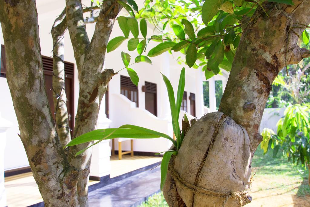 Garden Inn Mirissa Εξωτερικό φωτογραφία